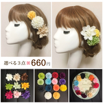 3点セットで660円⁂いろんなカラーパターンから選べるꕤダリアとマムのお試しセット