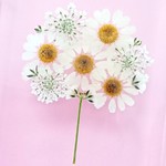 押し花のiPhoneケース - bouquet - natural