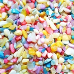 40g　レジン封入用　貝さざれ　穴なし　Mix　A542-1