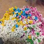 かすみ草＊ドライフラワー