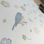 『ルリビタキ』　消しゴムはんこ６点セット