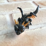 🐉ブラックドラゴンe🐉