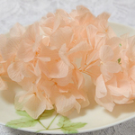 ひめ紫陽花　あじさい　アジサイ　プリザーブド　プレシャスピンク