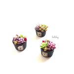 サビ缶に入った小さな寄せ植えＮｏ．2