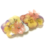 【rie.t】本物のビオラ