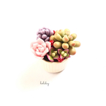 ココットに入った小さな寄せ植え③