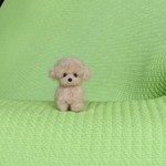 トイプードル  アプリコット パピー 羊毛フェルト