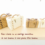 お客様ご依頼商品です‎٭¨̮ minimini trunk  8.5cm 6.5cm set 