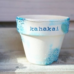 kai鉢(kahakai)2.5号鉢