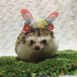 〈再販〉イースターカチューシャ(ピンク)