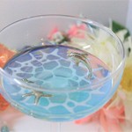 ★イルカの海★アクセサリートレー