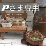 Ｐさま専用ページです⑅◡̈*