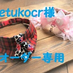 etukocr様オーダー専用です。cocoちゃんチョーカー2点セット