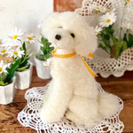 犬  トイプードル