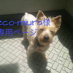 peco-miura様専用ページ