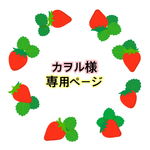 カヲル様専用