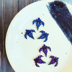 iris ピアス