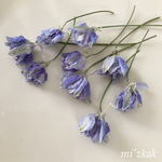 ラクスパー ブルー (お花のみ)