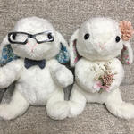 ウェルカムドール  