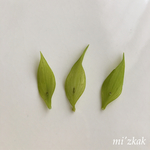 ラスカス    ライムグリーン (葉のみ)