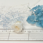 プリザーブドフラワー 薔薇  ハーバリウム素材