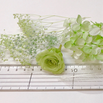 プリザーブドフラワー 薔薇 ハーバリウム 素材