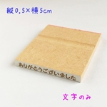【オーダー】ビスネームスタンプL　縦0.5cm×横5cm
