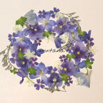 72.押し花アソート〜ブルー系 小花 mix 押し花 素材