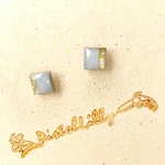 No.9895 送料込♥ピアス