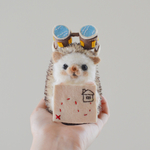 小動物用帽子 トレジャーハンターなりきりセット