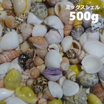 ★たっぷり500g ミックスシェル 送料無料★