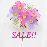 SALE！通常3000円→2000円 現品1点限り 押し花のiPhoneケース - bouquet - Best Friend