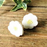 白い花のピアス／イヤリング ※チタンポスト
