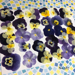 ♡sale♡送料無料 ☆小さめビオラ☆ 押し花30枚セット