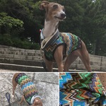 ボヘミアンタンク☆イタグレ用