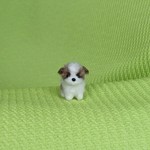 ちびちびシーズー ゴールド&ホワイト パピー 羊毛フェルト