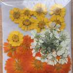 押し花