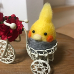 チャリインコ
