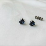 気高く煌めくプチハートピアス