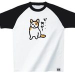 【ねこT】で・・・何か？