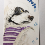 ペット 似顔絵承ります