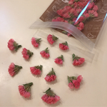 レア色‼︎‼︎ スターチス オレンジ❁