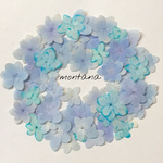 77.押し花アソート〜ブルー系 紫陽花 テマリテマリ 押し花素材