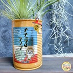 限定リメ缶 ナチュラルランプ