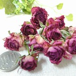 ドライフラワー　スプレー薔薇ヘッド　ピンク色