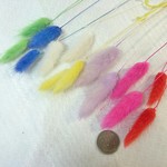 ドライフラワー　ラグラス  ペールカラー　8色アソート