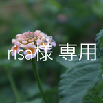 risa様 専用 選んでオーダー ミニスワッグ