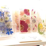 ～お知らせ～  &【jun様専用】兼用ページ(^^;