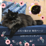 ぶちゃ猫さま専用★miawgo★べっ甲 風 レジン にゃんこリング