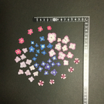 押し花  花便り NO.1040